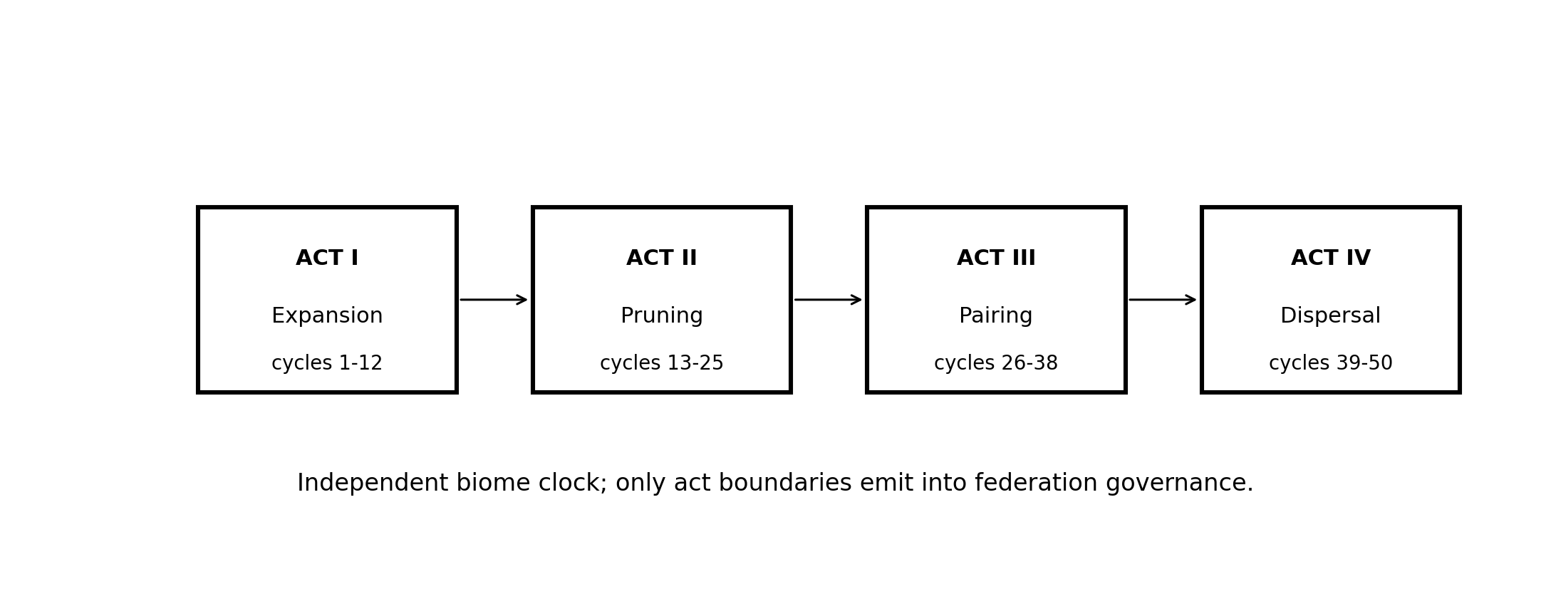 Figure 13. The biome runs four acts on an independent clock. Only act boundaries emit into federation governance.