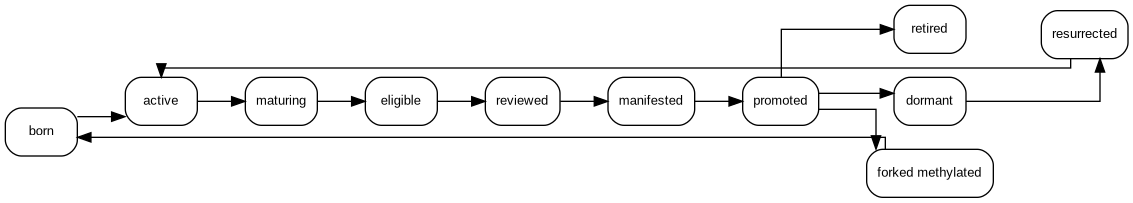 Figure 14. Citizen lifecycle. Promotion, dormancy, retirement, resurrection, and scoped methylation preserve lineage.